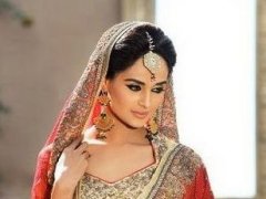 光彩靓丽的印度新娘（图）